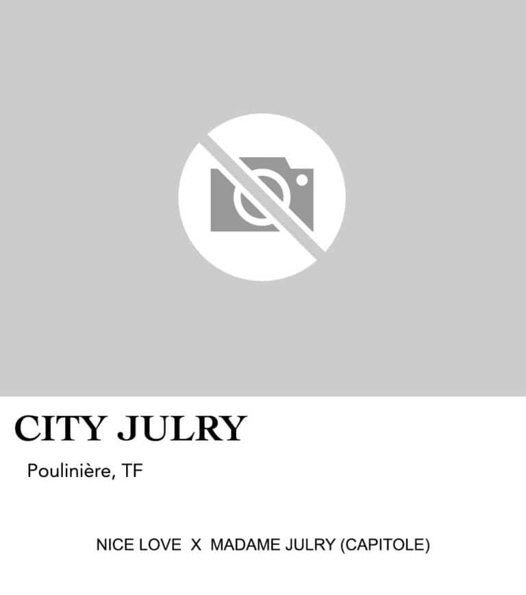 CITY JULRY