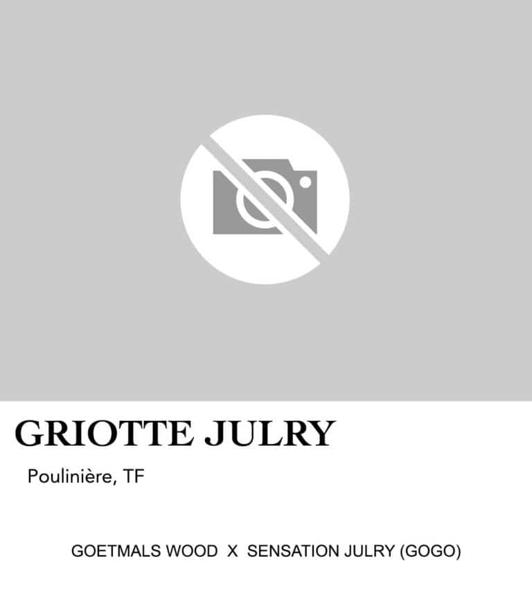 GRIOTTE JULRY