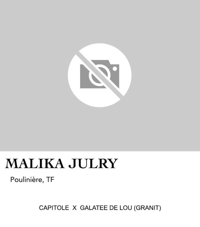 MALIKA JULRY