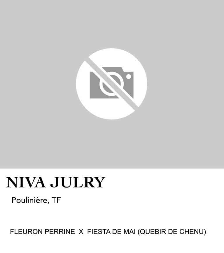 NIVA JULRY