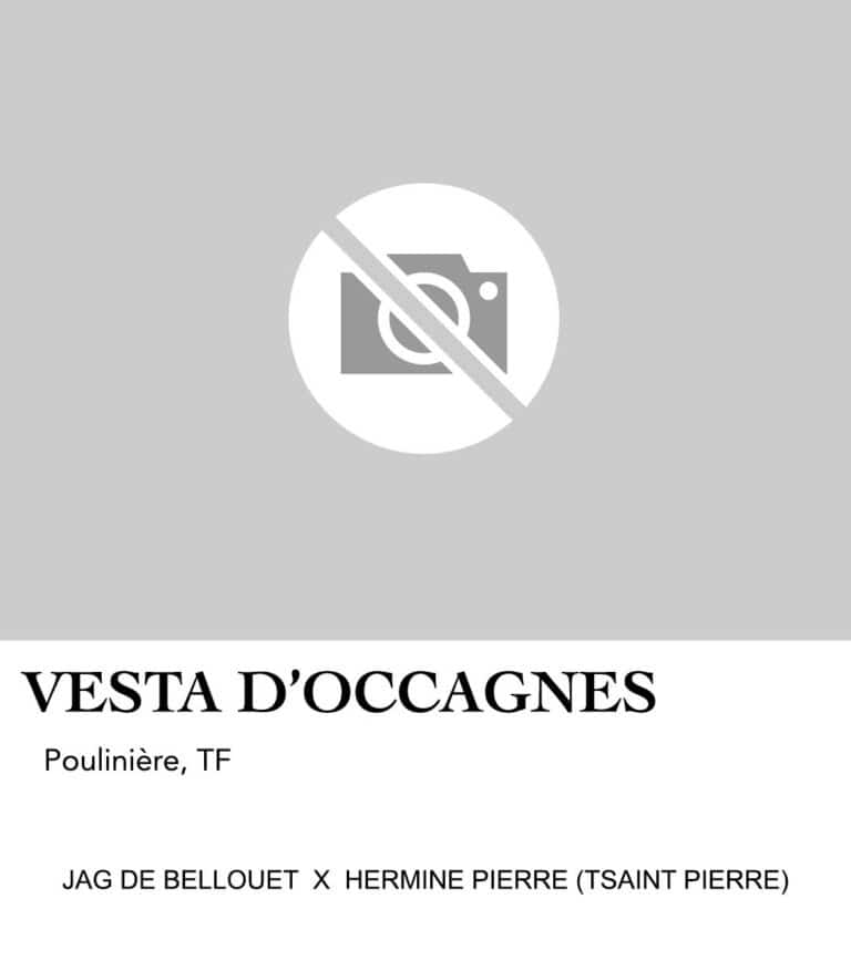 VESTA D'OCCAGNES